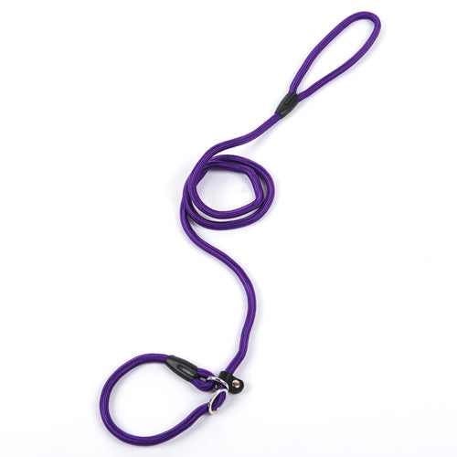 Dog Leash in Multiple Colors and Widths