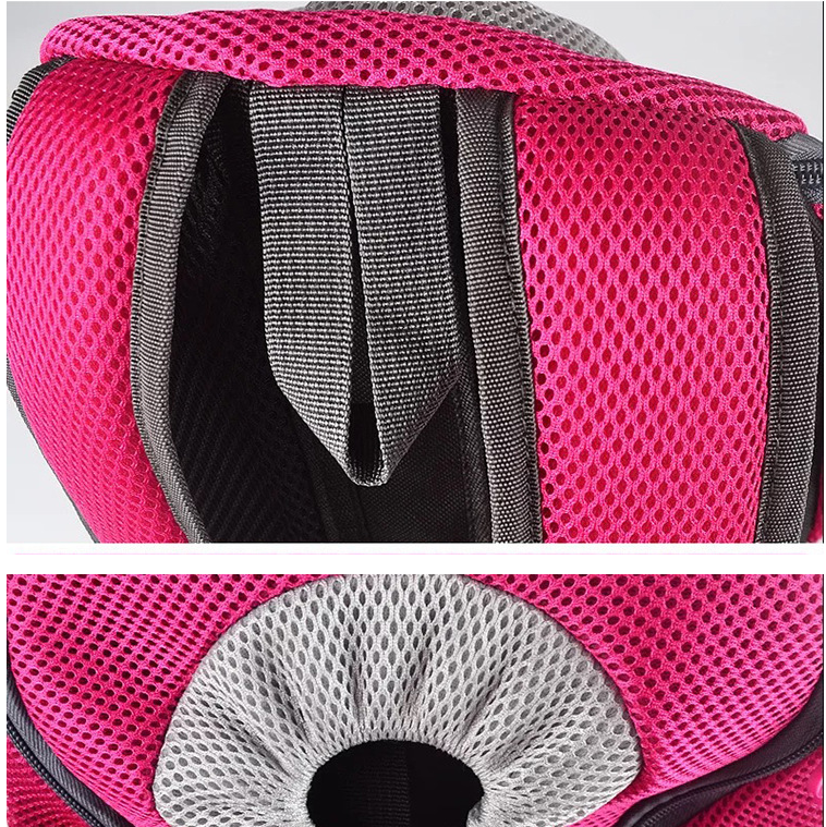 Portable Dog Travel Carrier Backpack in Pink and Blue