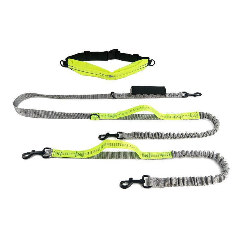 Reflective Dog Leash for Walking
