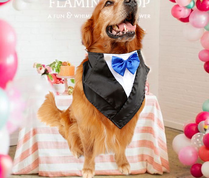 Wedding Tuxedo Triangle Scarf for Large Dogs