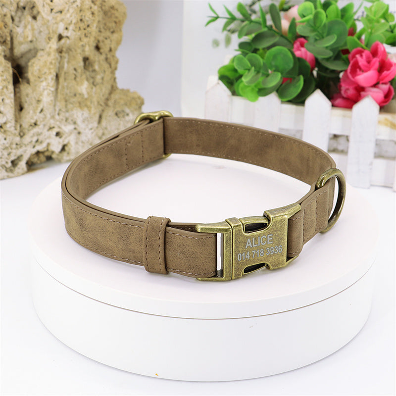 Elegant Dog Collar and Leash Set in Multiple Colors