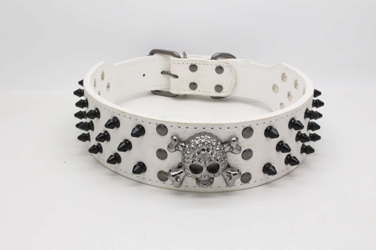 Skull Studded Dog Collar in Multiple Colors