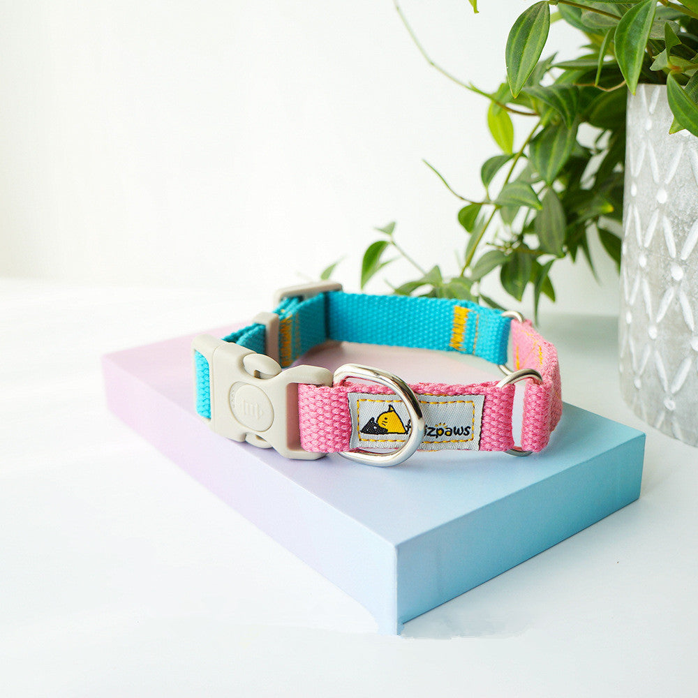Hit Color Dog Collar - Bright Two-Tone Collar for Dogs