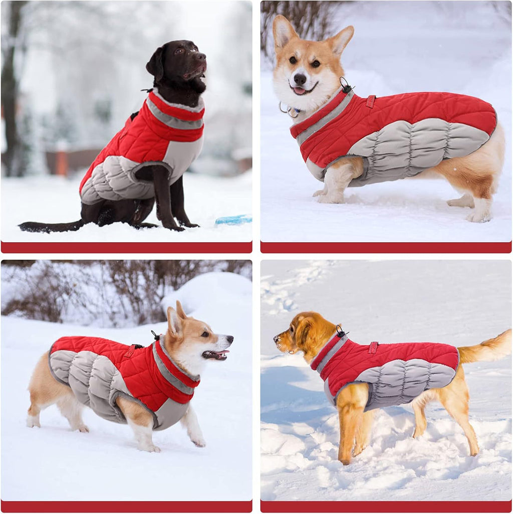 Windproof Padded Winter Dog Coat in 9 Colors