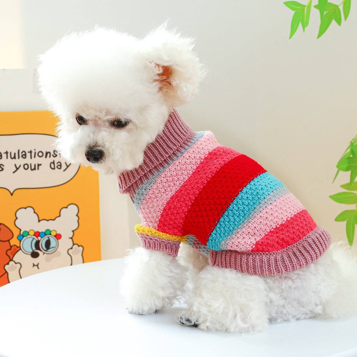 Striped Knit Sweater for Small Dogs