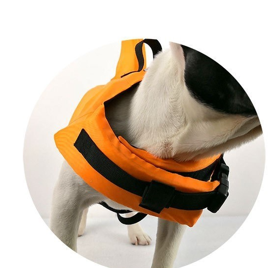 Orange Dog Swim Vest in Three Sizes
