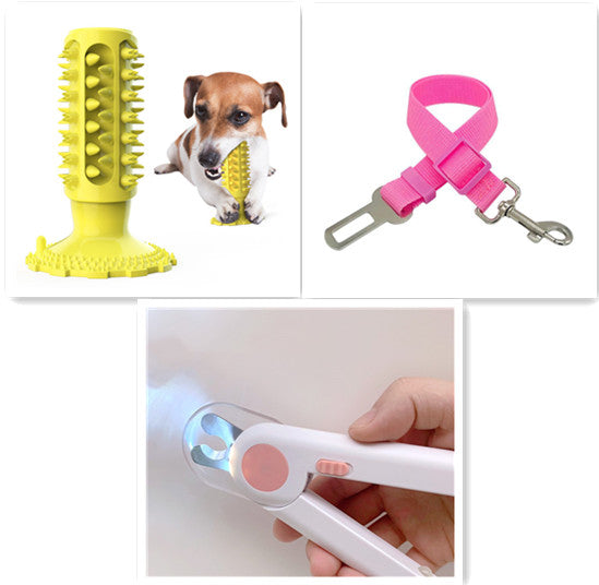 Toothbrush Stick for Dogs