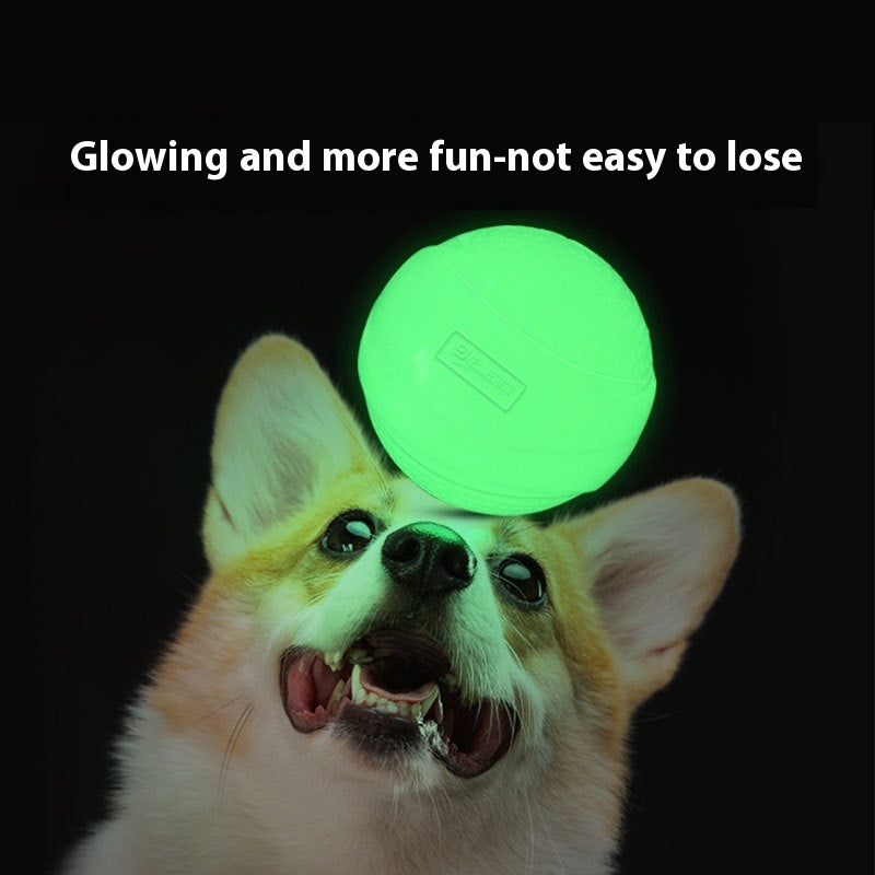 Luminous Rubber Molar Ball Dog Toy