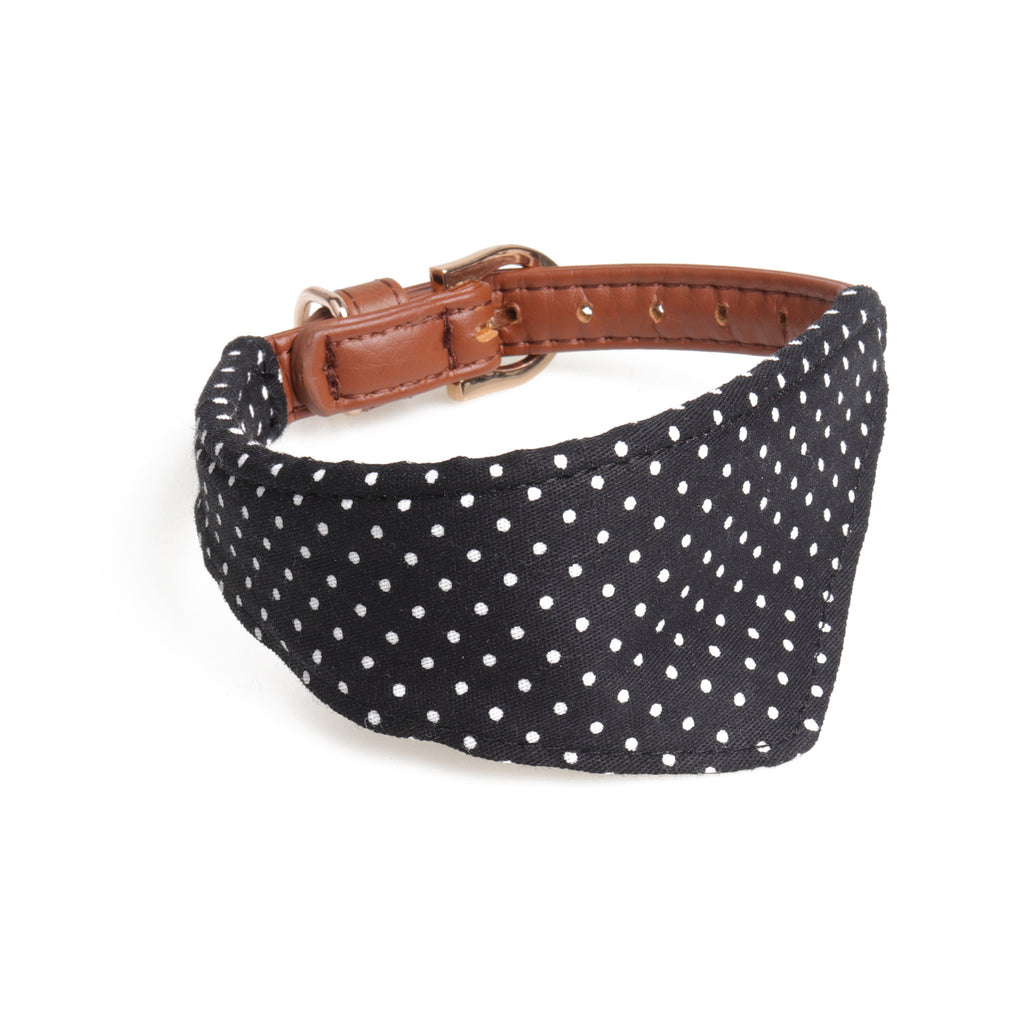 Polka Dot Dog Collar and Leash Set