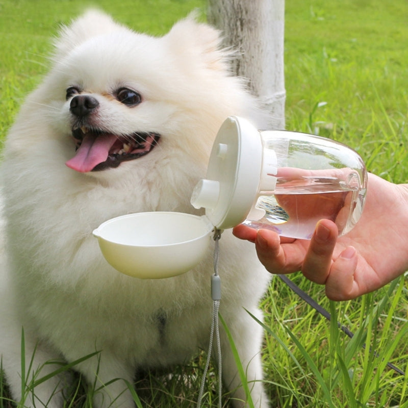 Portable Dog Water Bottle for Travel and Walking