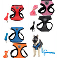 Step-In Dog Harness and Leash Set