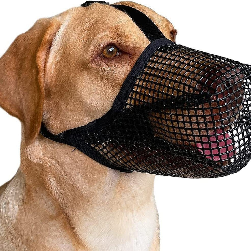 Breathable Mesh Dog Muzzle in Black and Green