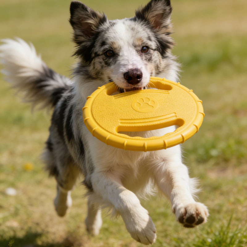 Flying Disc Toy with Paw Print in Yellow, Blue and Rose Red