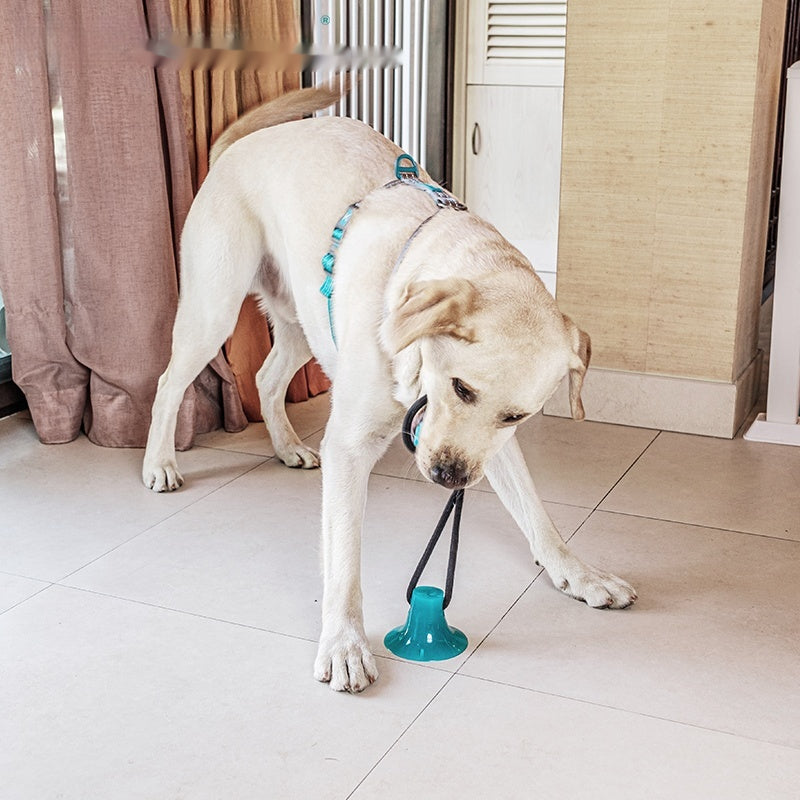 Natural Rubber Chew and Fetch Toy with Rope