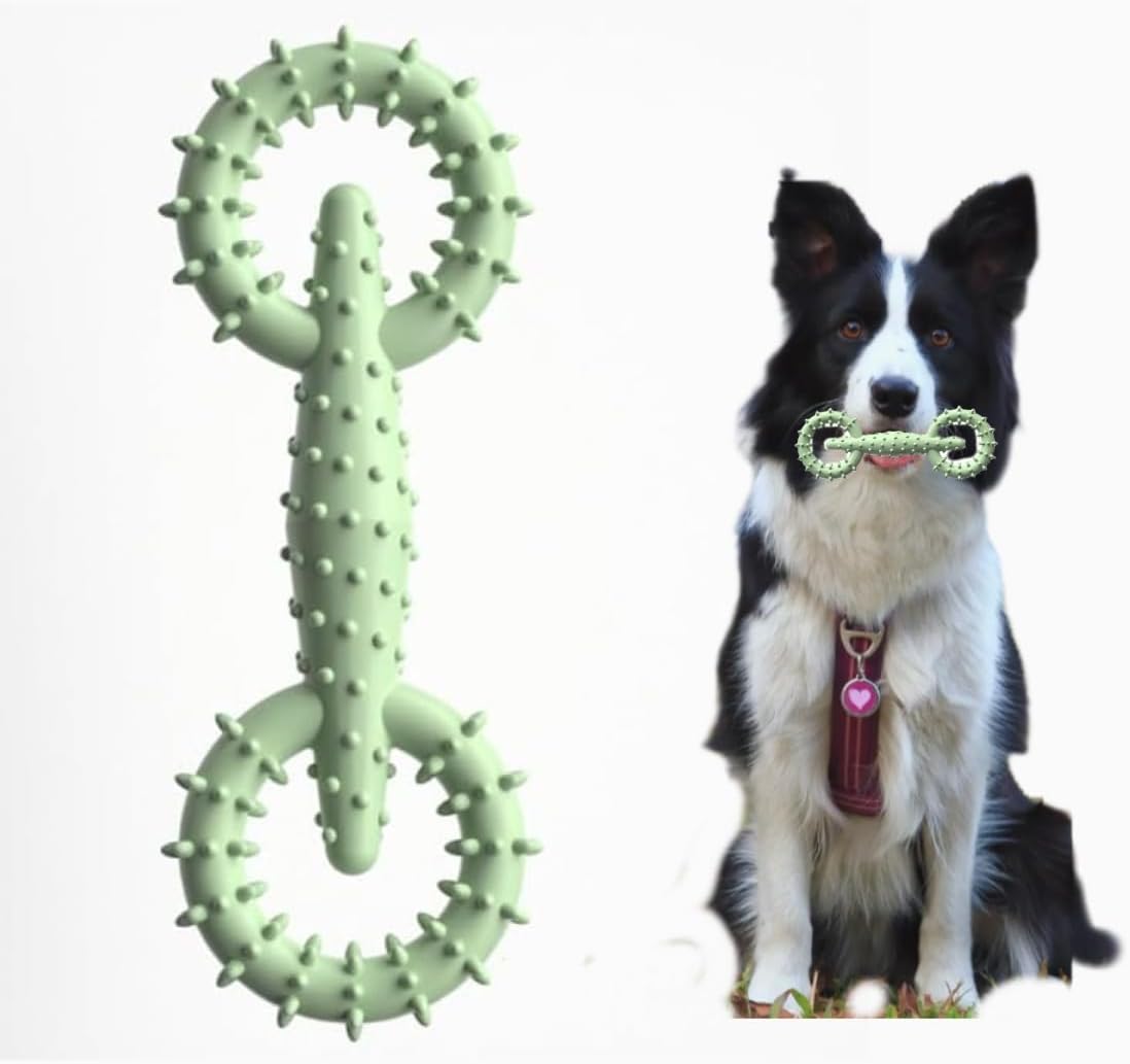 Dog Chew Toy Ring in Blue, Pink & Green