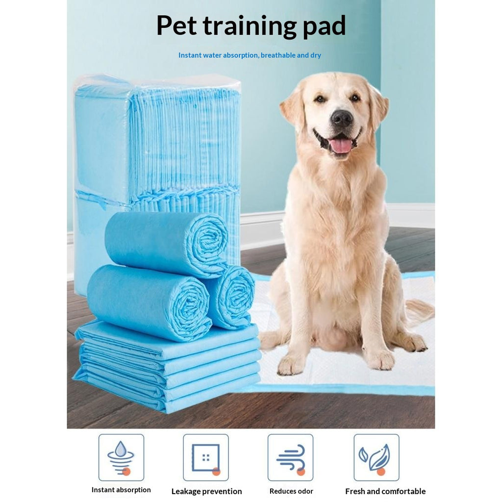 Thickened Absorbent Leak-Proof Training Pads