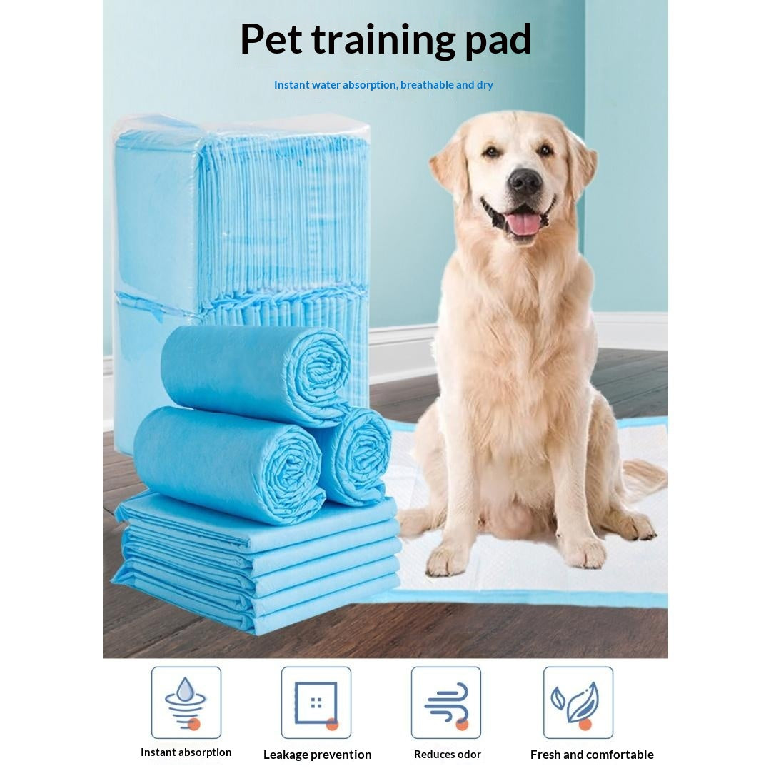 Thickened Absorbent Leak-Proof Training Pads
