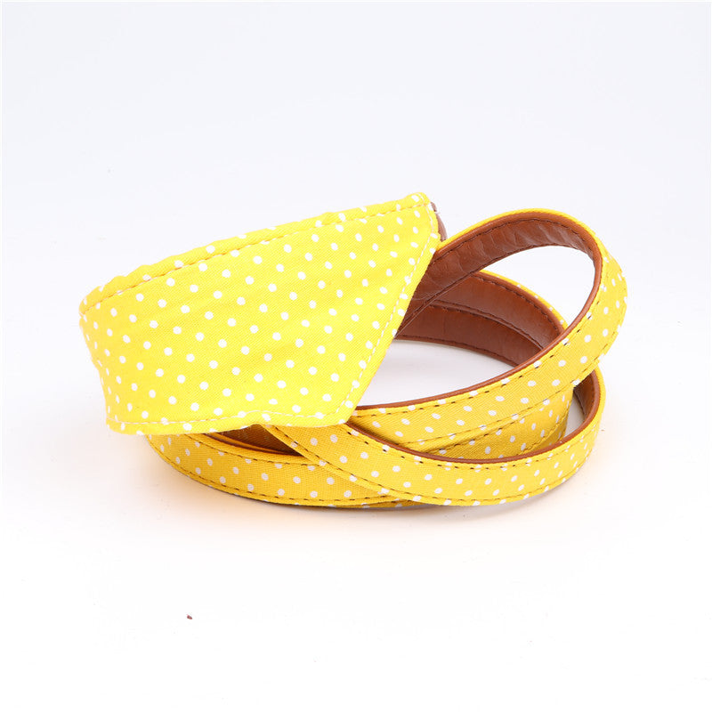 Polka Dot Dog Collar and Leash Set