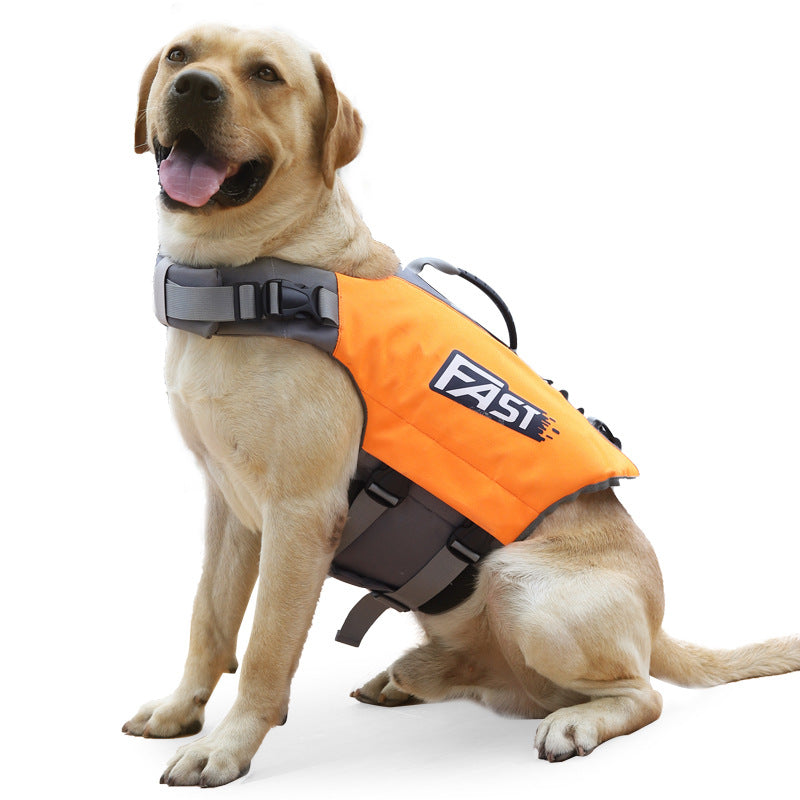 Reflective Dog Swim Vest in Orange and Green, S to XL