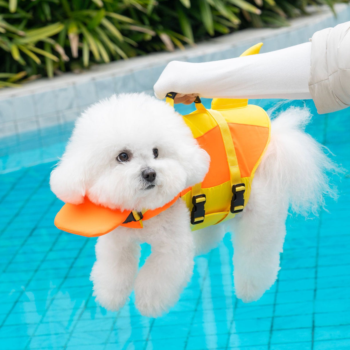 Dog Swim Vest with Grab Handle in Multiple Colors