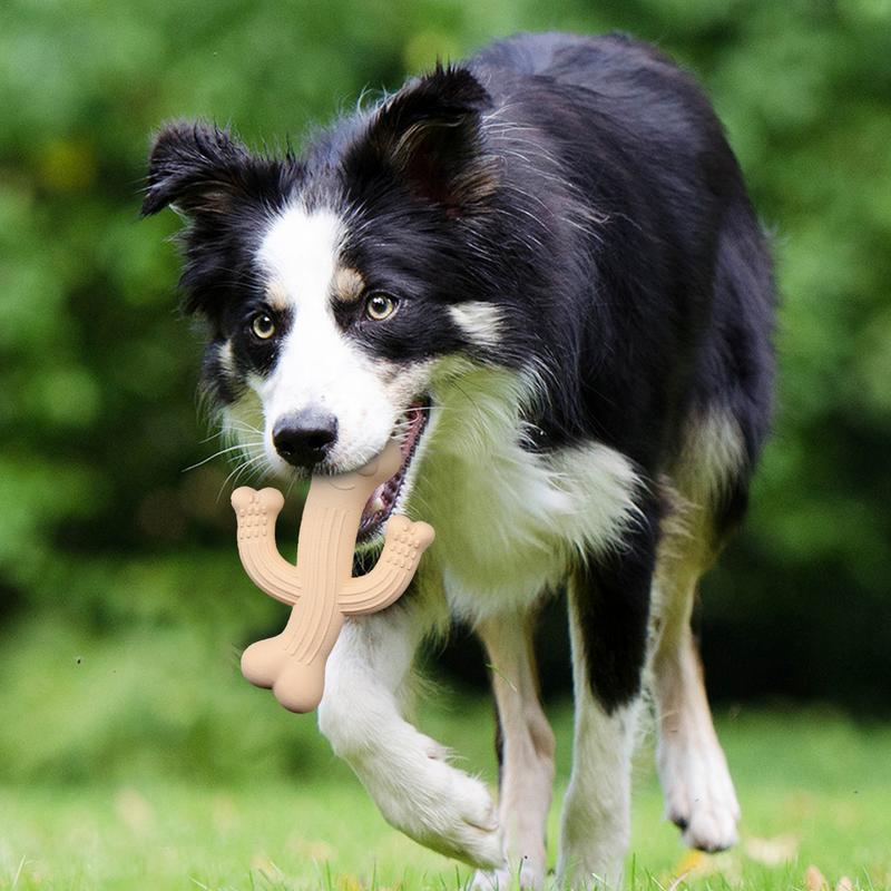 Cactus Dog Chew Toy in Beige, Purple & Blue