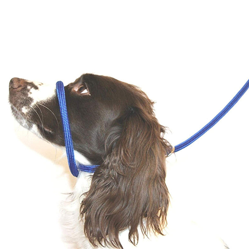 Nylon Walking Leash for Dogs