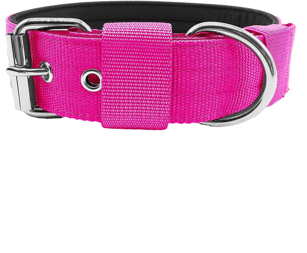 Padded Nylon Dog Collar - Red