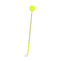 Training Stick Target Clicker Wand for Dogs