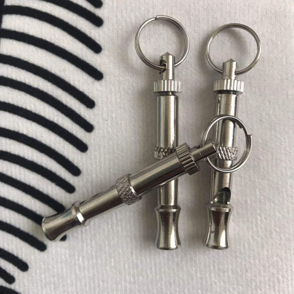 Silver Dog Training Whistle