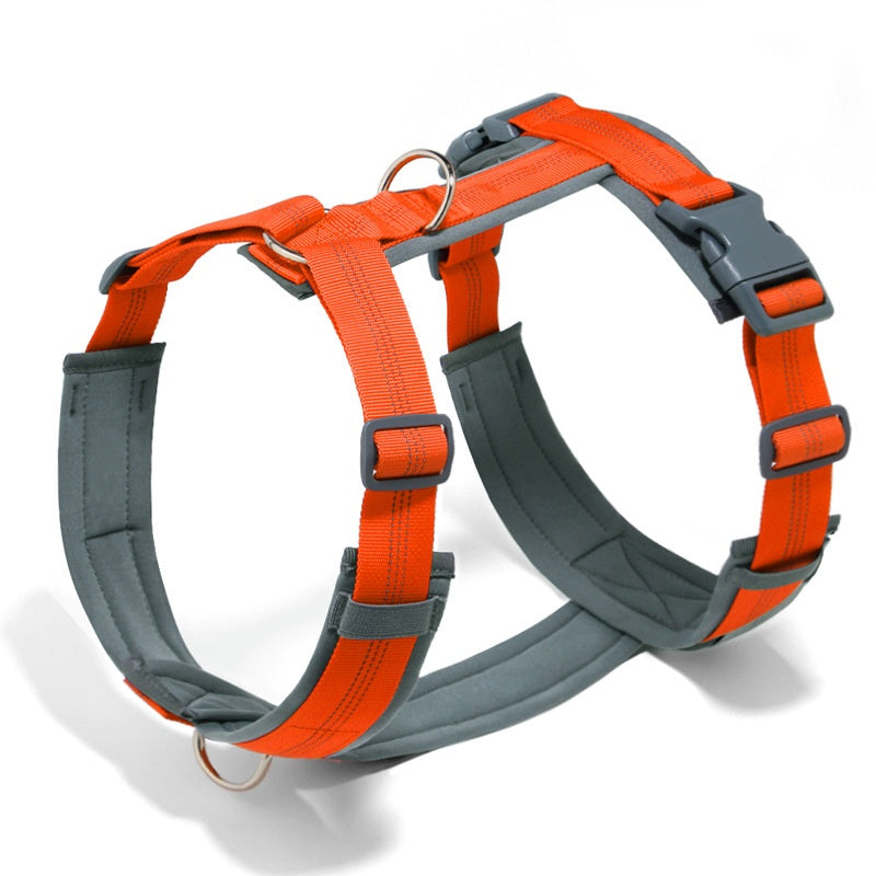 Dog Leash and Harness Vest for Every Pup