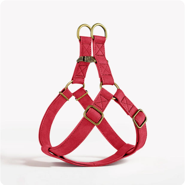 Dog Vest-Style Harness for Small & Medium Dogs