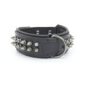 Spiked Leather Dog Collar - Black