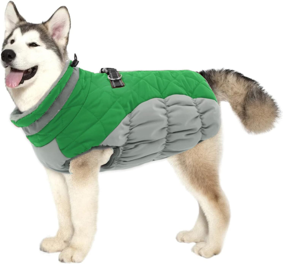 Windproof Padded Winter Dog Coat in 9 Colors