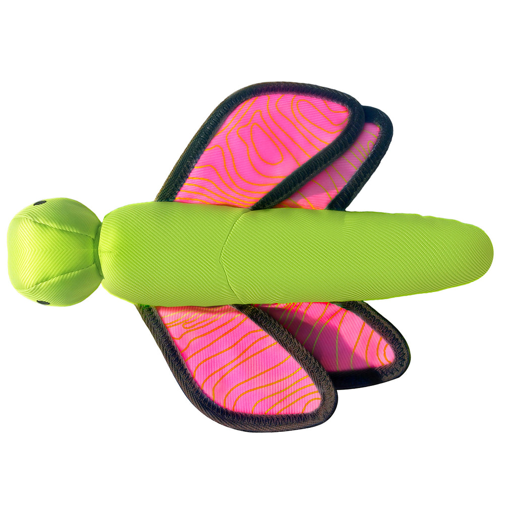 Chew-Resistant Squeaky Toss Toy for Dogs