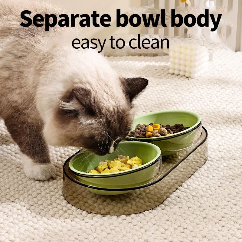 Transparent Double Pet Bowl for Dogs