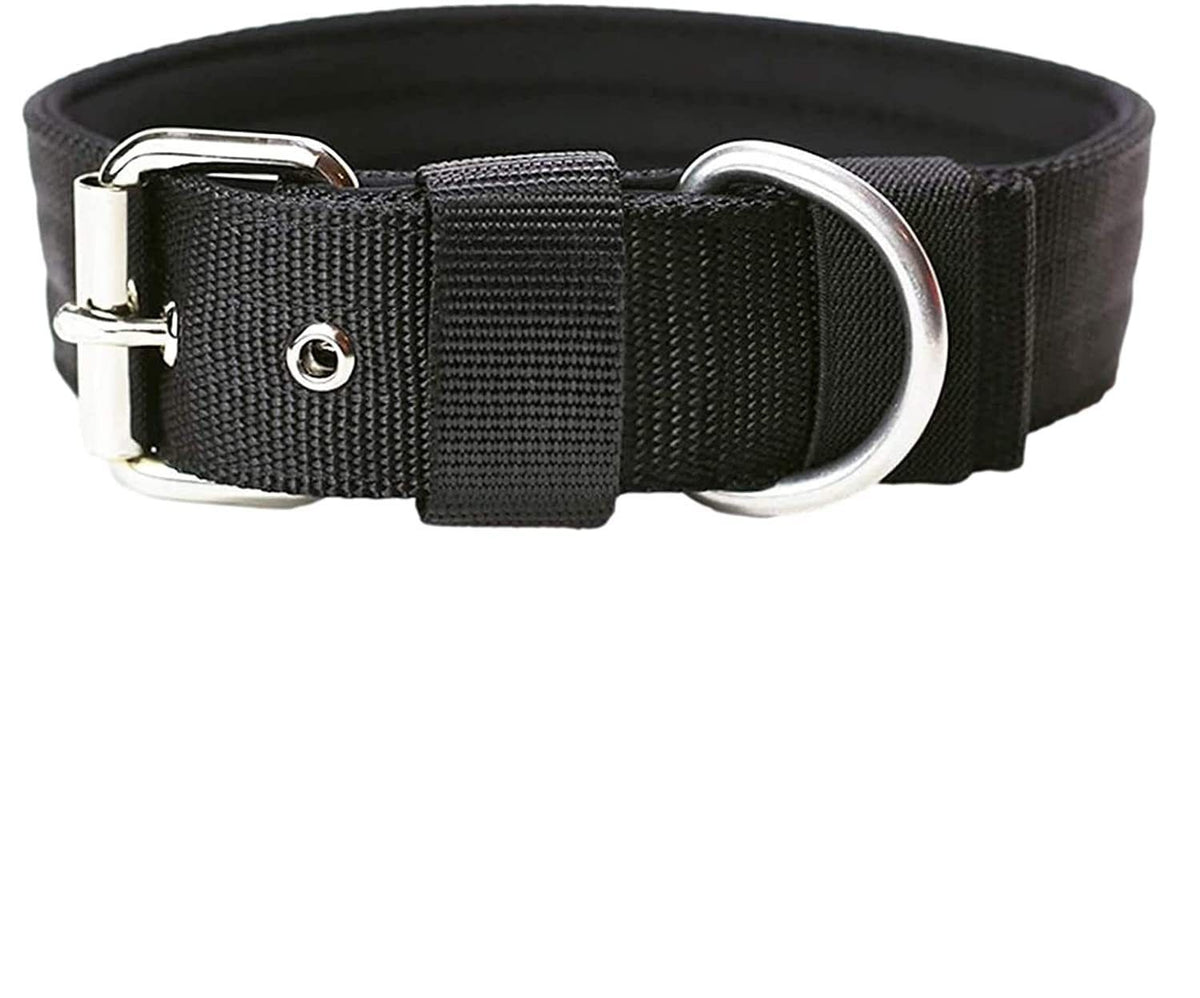 Padded Nylon Dog Collar - Black