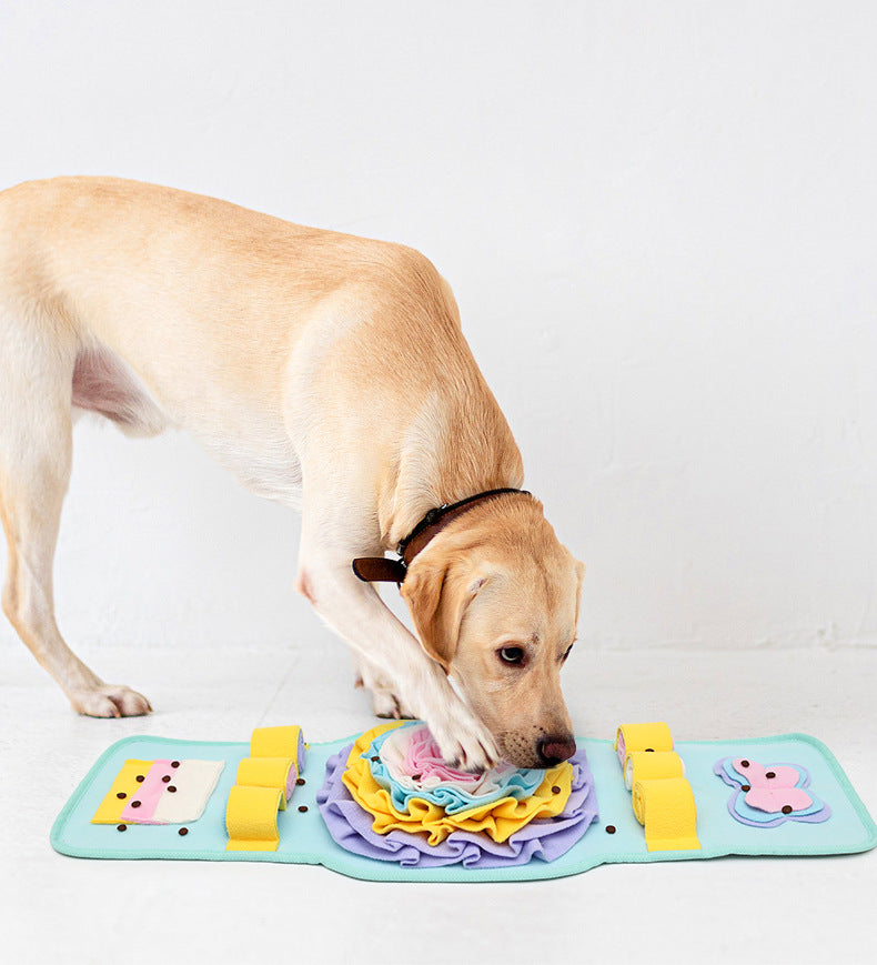 Sniff Mat Dog Training Pad in Yellow and Blue