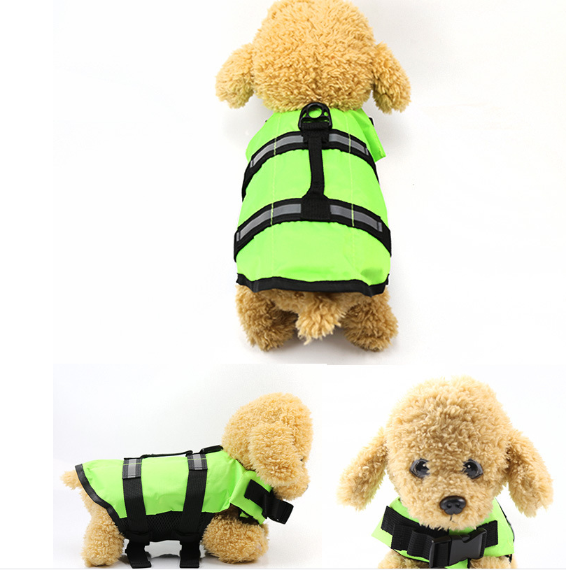 Dog Swimsuit Vest in Blue, Orange, Green and Pink