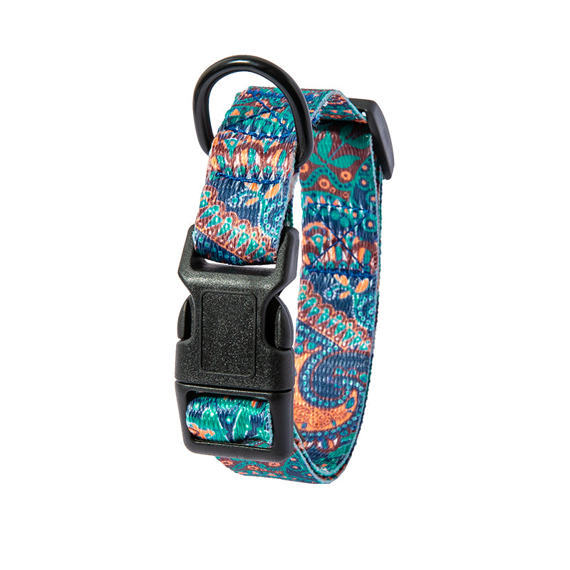 Dog Collar with Leash in Multiple Styles