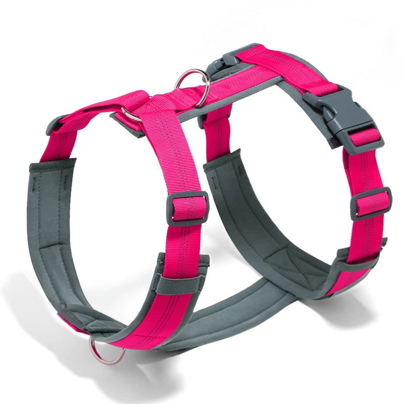 Dog Leash and Harness Vest for Every Pup