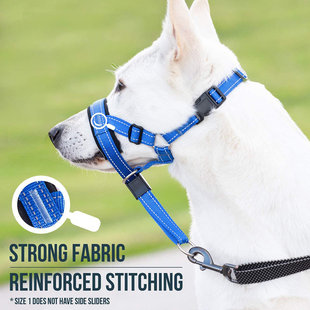 Padded Dog Head Halter in Red, Blue, Orange