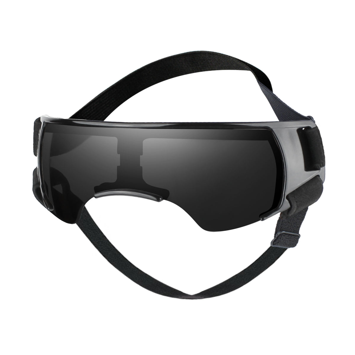 Dog Goggles in Four Colors