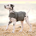 Calming Anxiety Jacket for Dogs