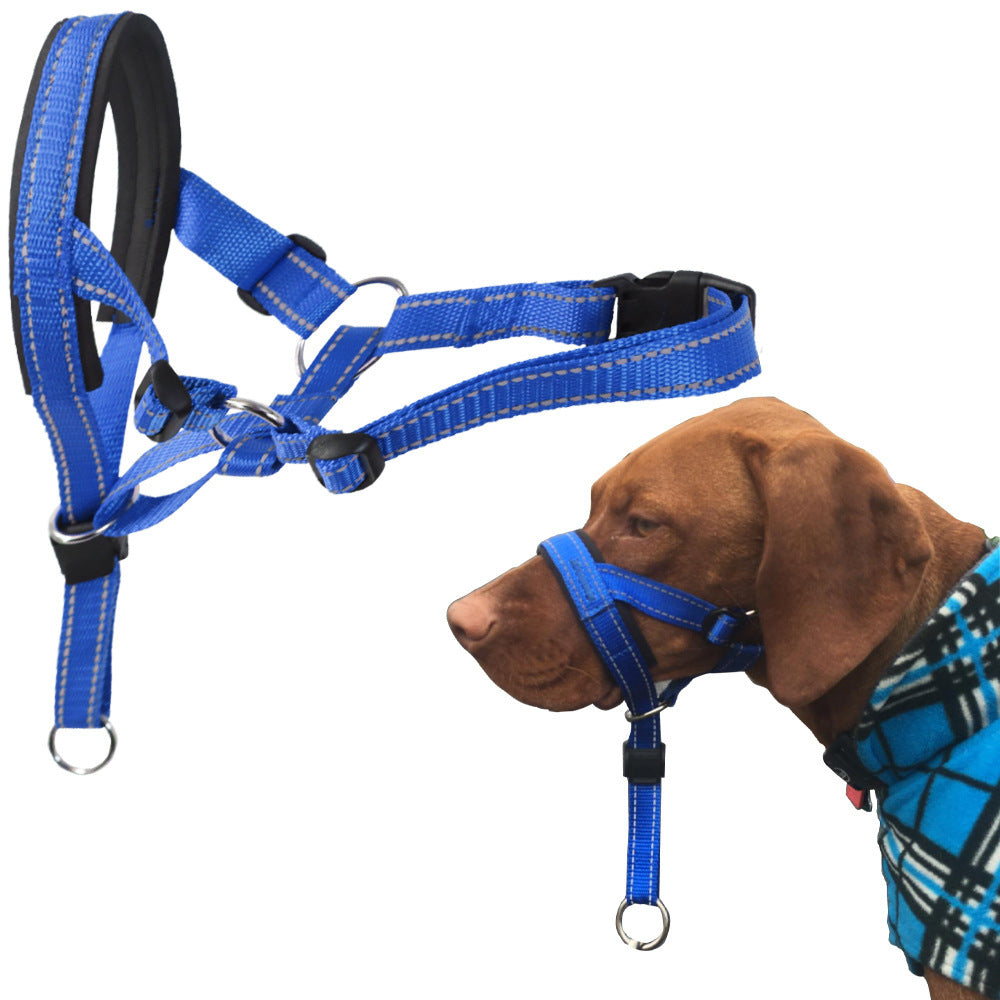 Padded Dog Head Halter in Red, Blue, Orange