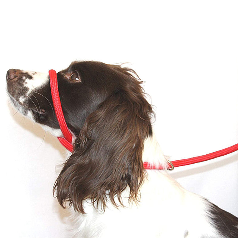 Nylon Walking Leash for Dogs