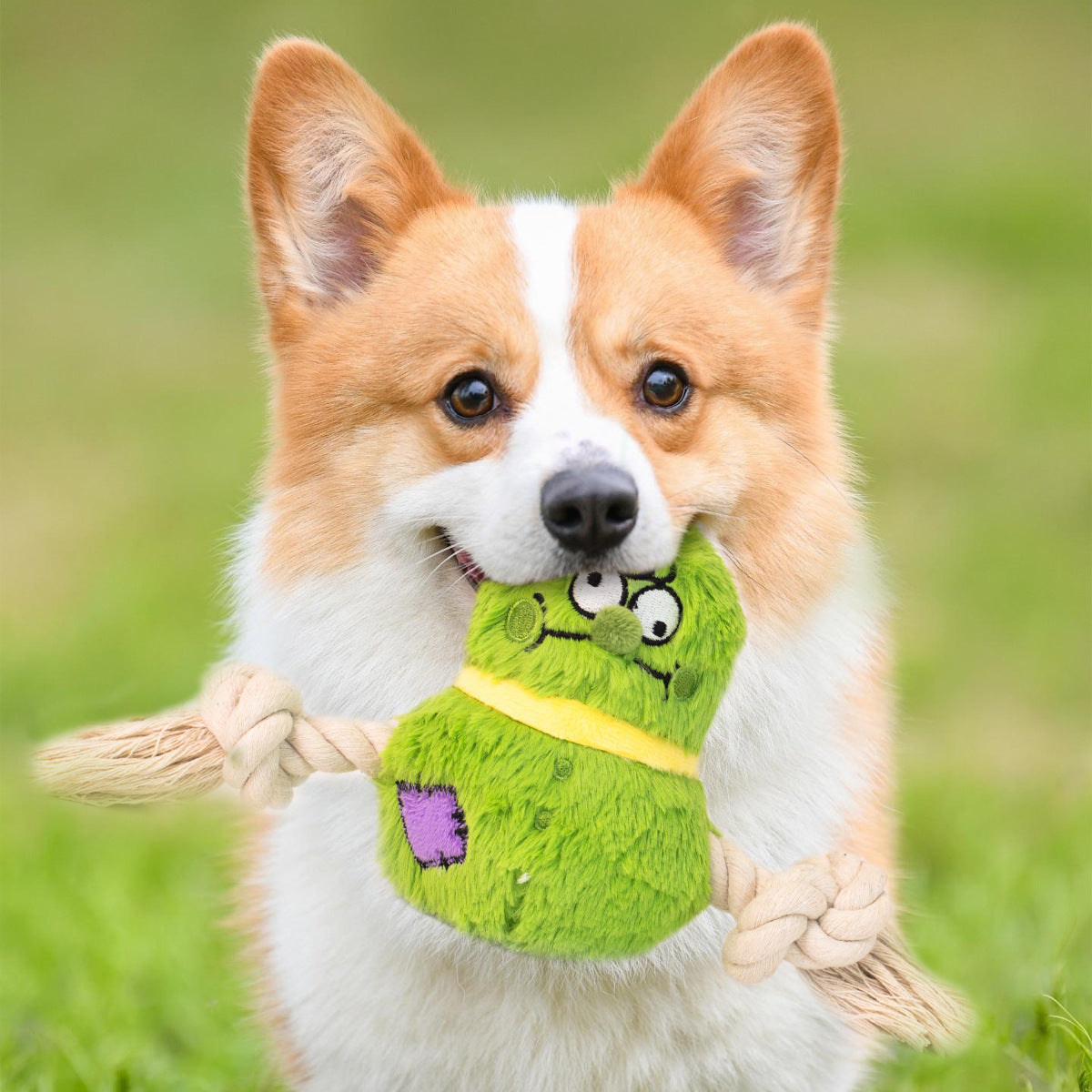 Knotted Plush Rope Toy in Green and Purple