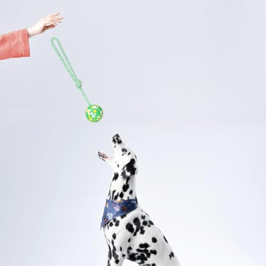 Dog Ball On Rope Fetch Toy For Small & Large Dogs