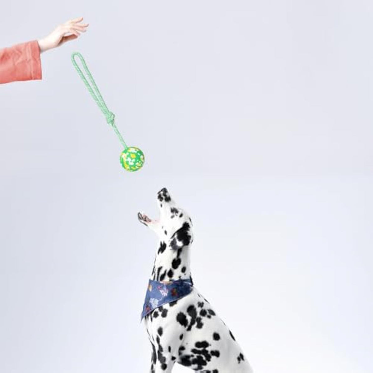 Dog Ball On Rope Fetch Toy For Small & Large Dogs