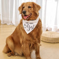 Wedding Bandana for Dogs, 12 Styles