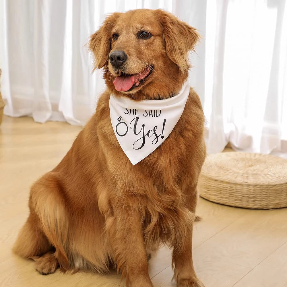 Wedding Bandana for Dogs, 12 Styles